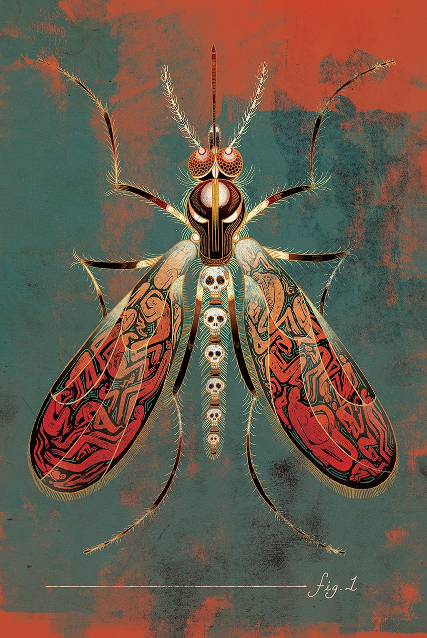 850x1268, 368 Kb / комар, черепа, лихорадка, малярия, рисунок