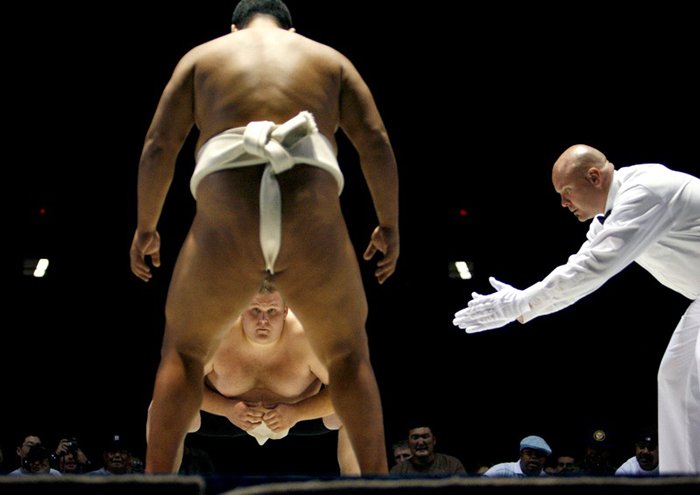 700x495, 36 Kb / сумо