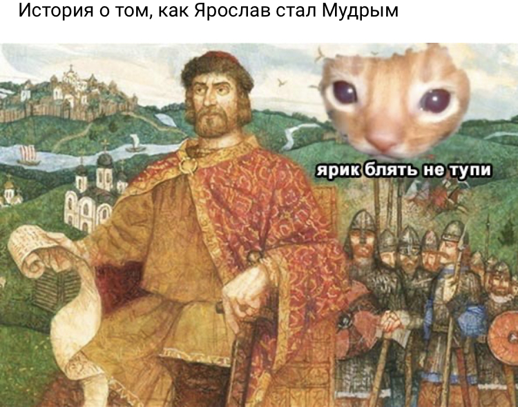 750x590, 468 Kb / ярослав, кот, ярик, не тупи, мудрый