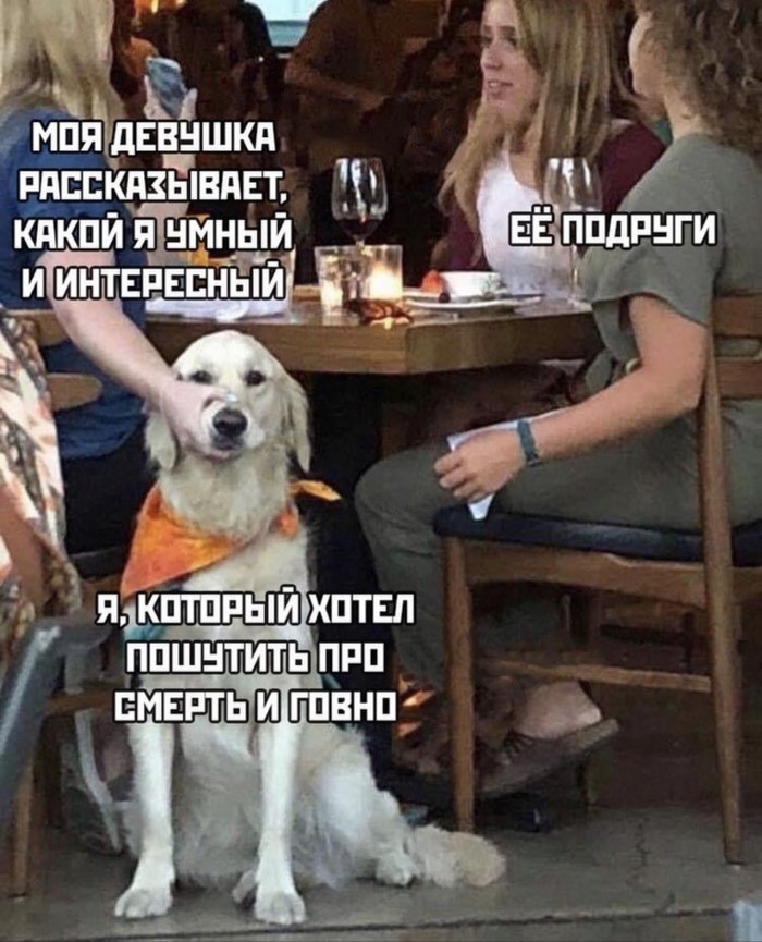 700x865, 134 Kb / собака, умный, интересный, шутка, смерть, говно, подруги