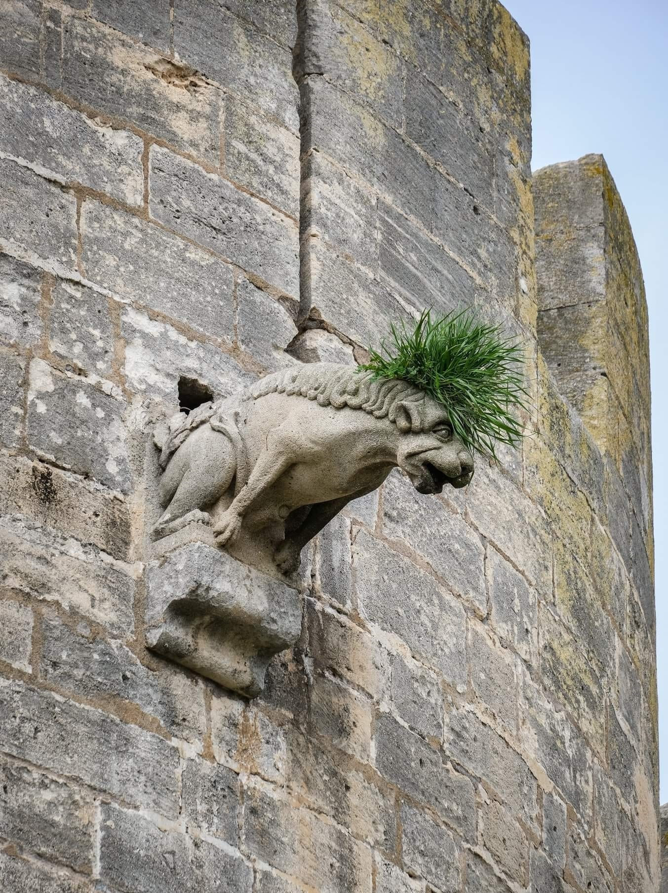 1353x1809, 627 Kb / горгулья, панк, трава, прическа, стена, замок