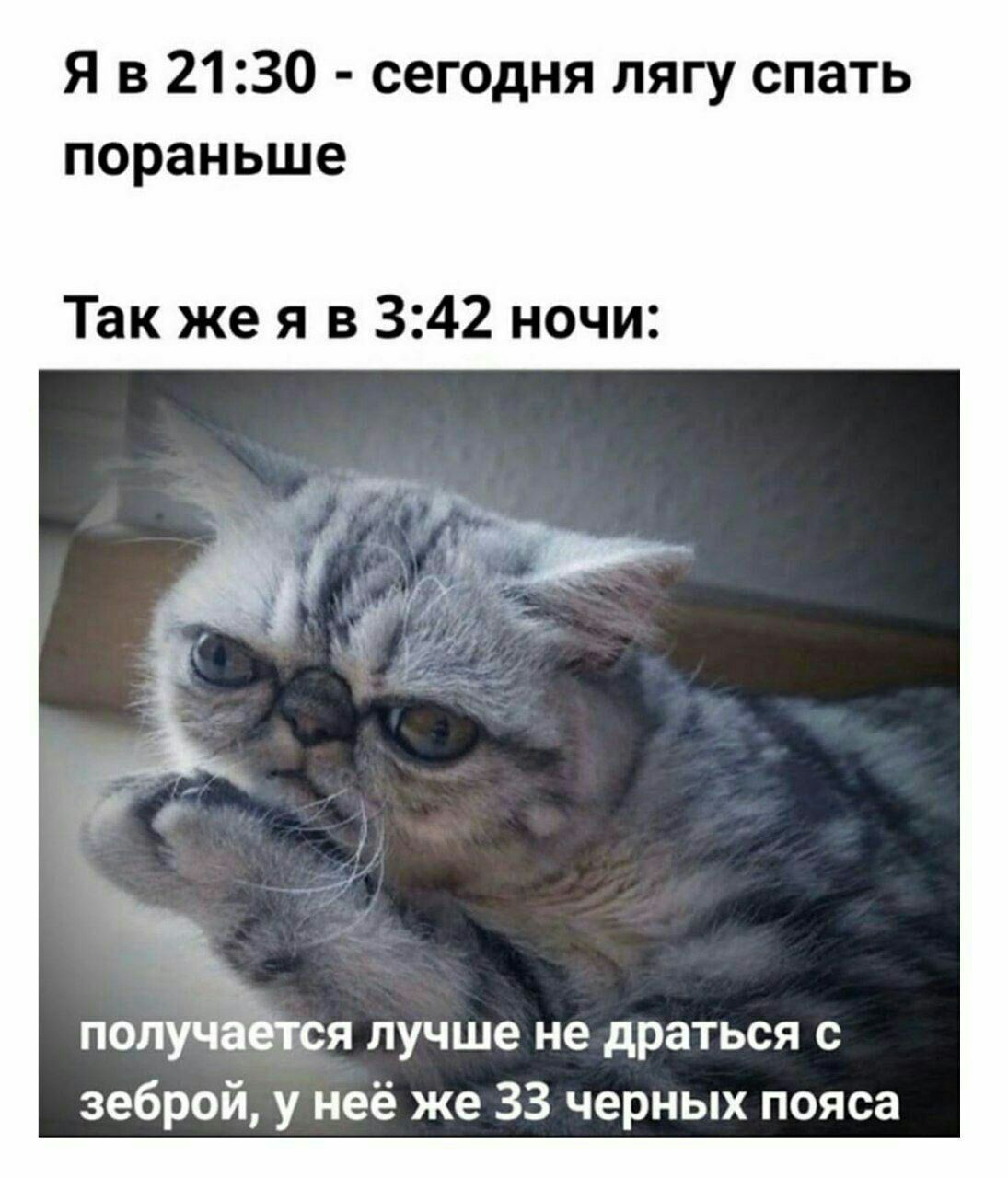 1095x1280, 143 Kb / зебра, черный пояс
