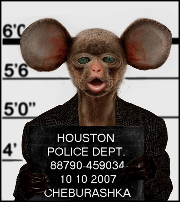 600x673, 144 Kb / чебурашка