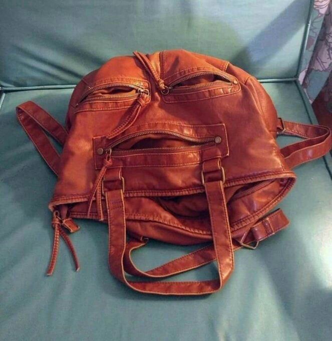 663x680, 79 Kb / сумка, морда, молния, джабба