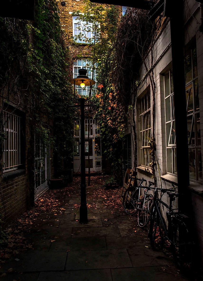 854x1185, 226 Kb / фонарь, улочка, дома, здания, велосипеды, кустарник, зелень, окна, листва