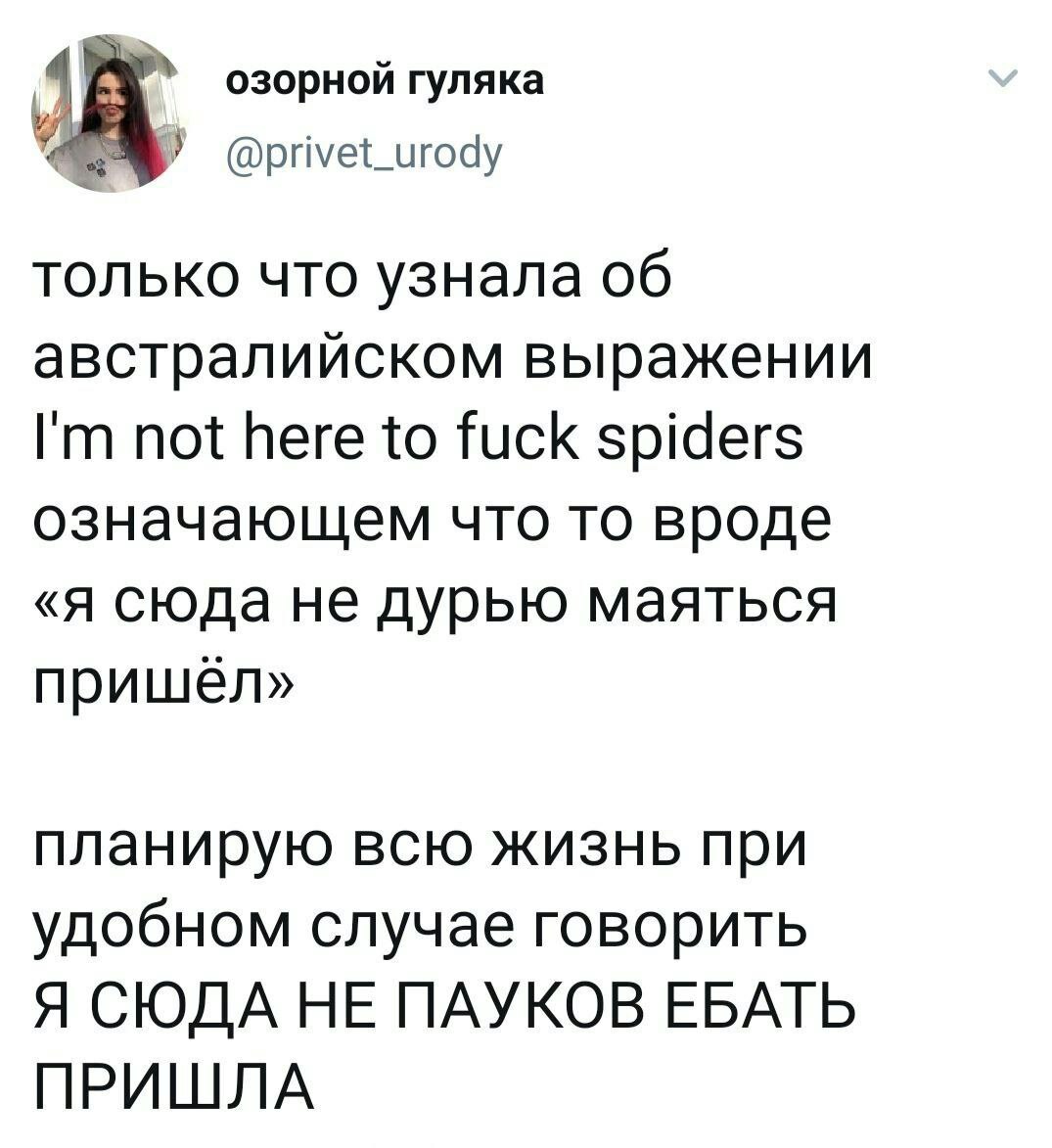 1075x1173, 138 Kb / фраза, ебать, пауки