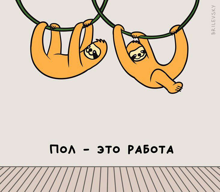 732x640, 66 Kb / ленивец, пол, работа, рисунок