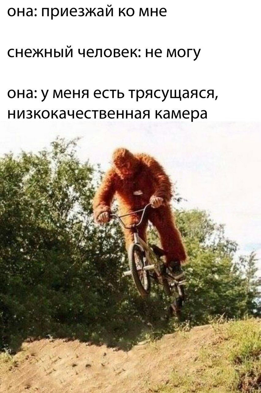 853x1280, 185 Kb / велосипед, йети, снежный человек, камера