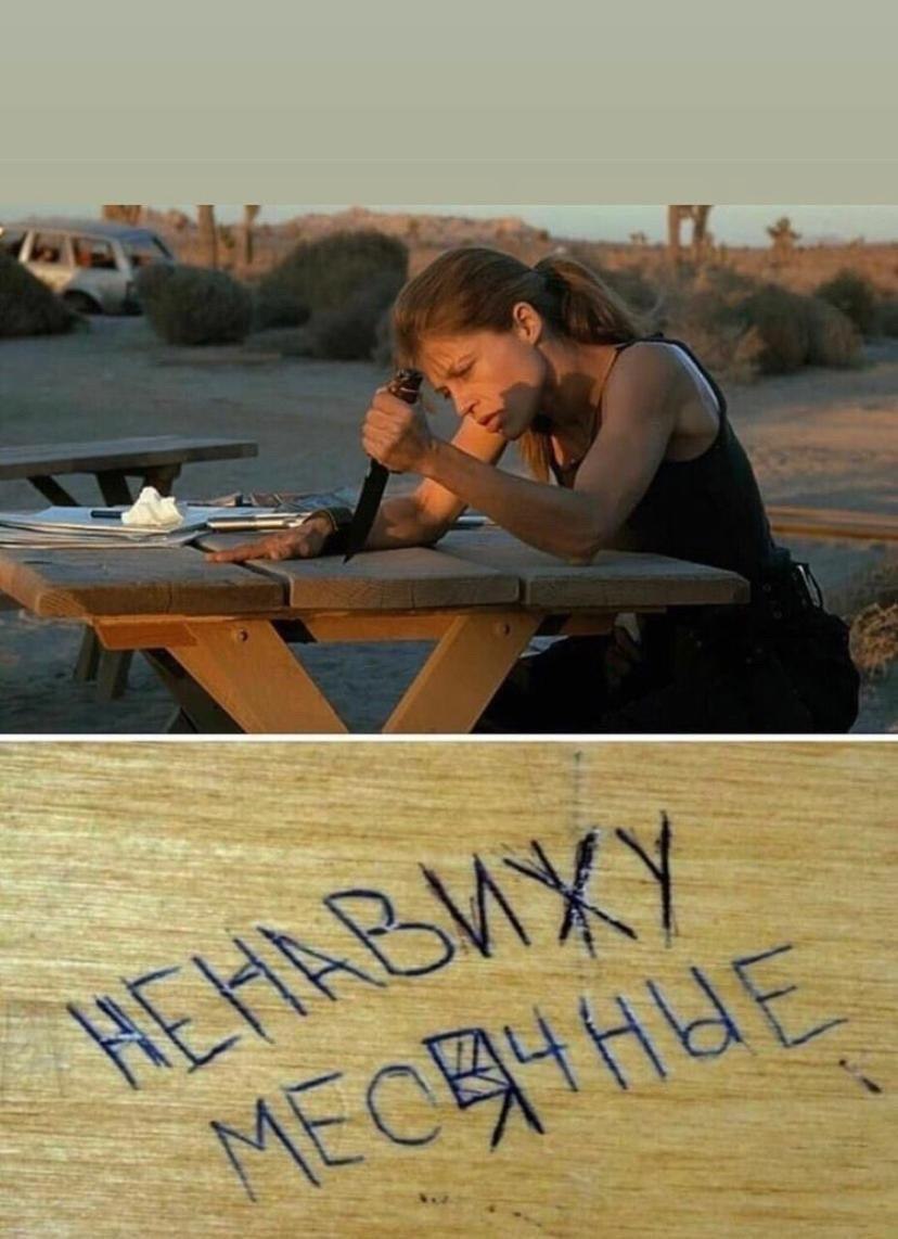 828x1142, 118 Kb / терминатор, сара, коннор, месячные, ненавижу, нож