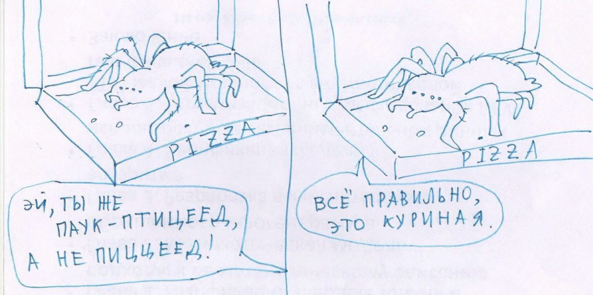 1199x598, 116 Kb / паук, пицца, птицеед