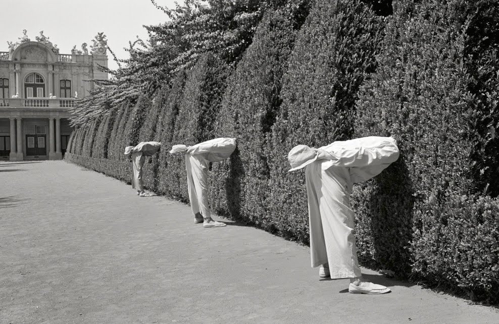 988x642, 195 Kb / кусты, мужчины, шляпы, здание, ч/б