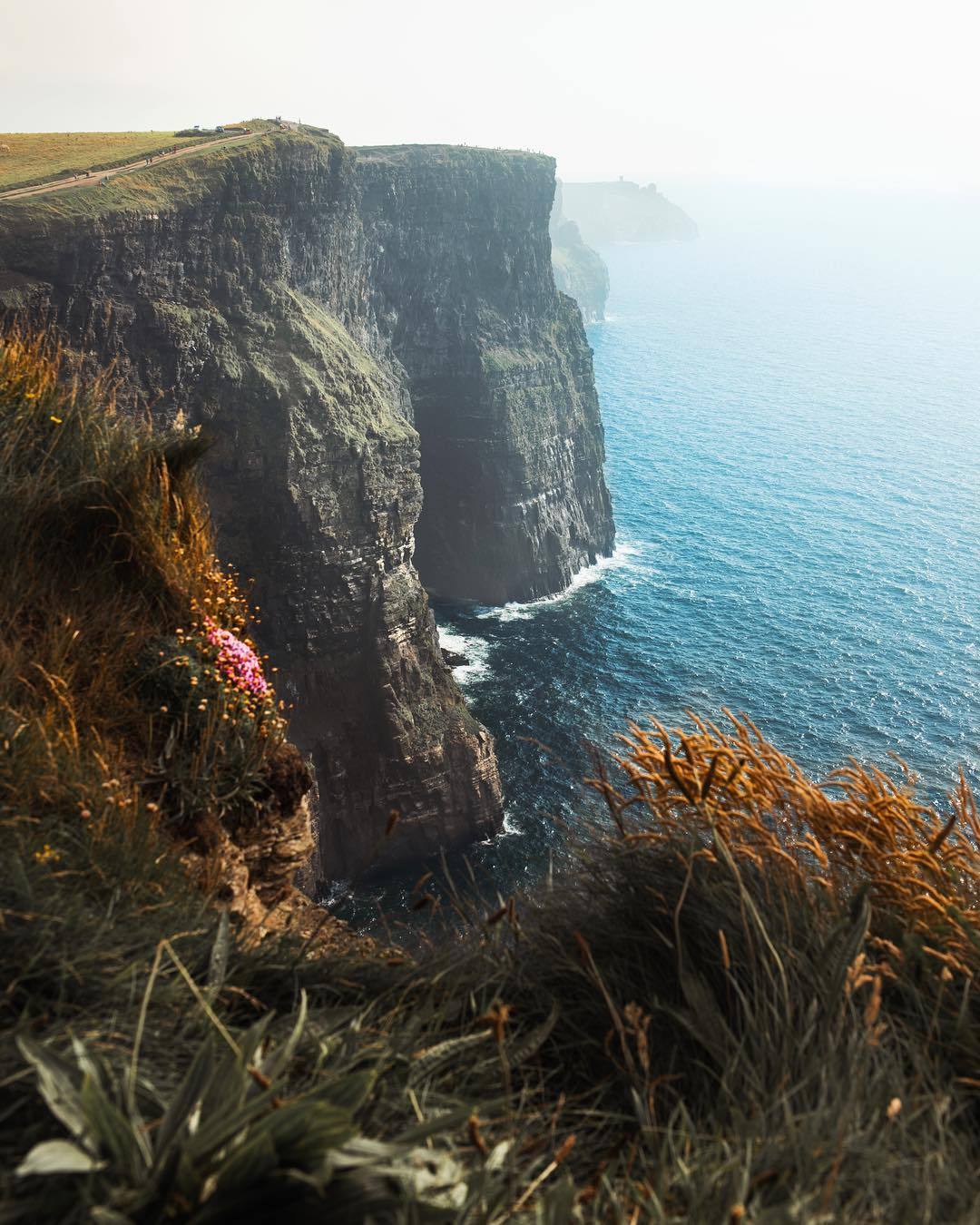 1080x1350, 206 Kb / дорога, горы, скалы, обрыв, туман, цветы