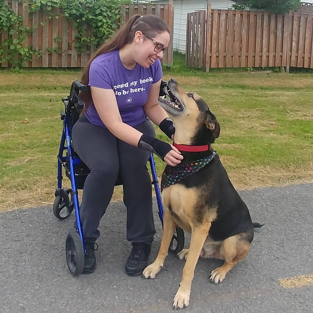 1080x1080, 137 Kb / собака, коляска, инвалид, улыбка, ролятор