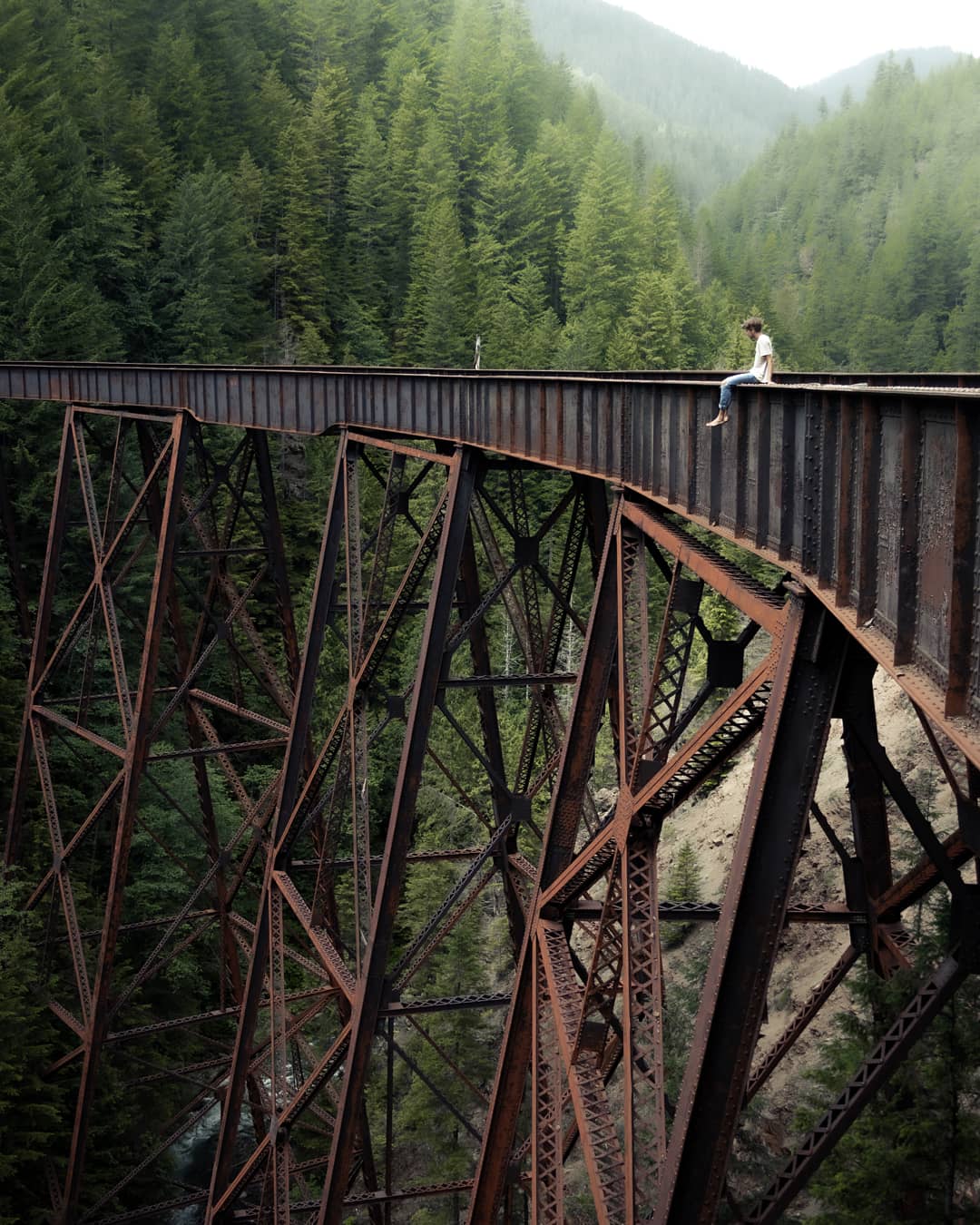 1080x1350, 203 Kb / мост, высота, заброшенный, ржавый, лес, человек