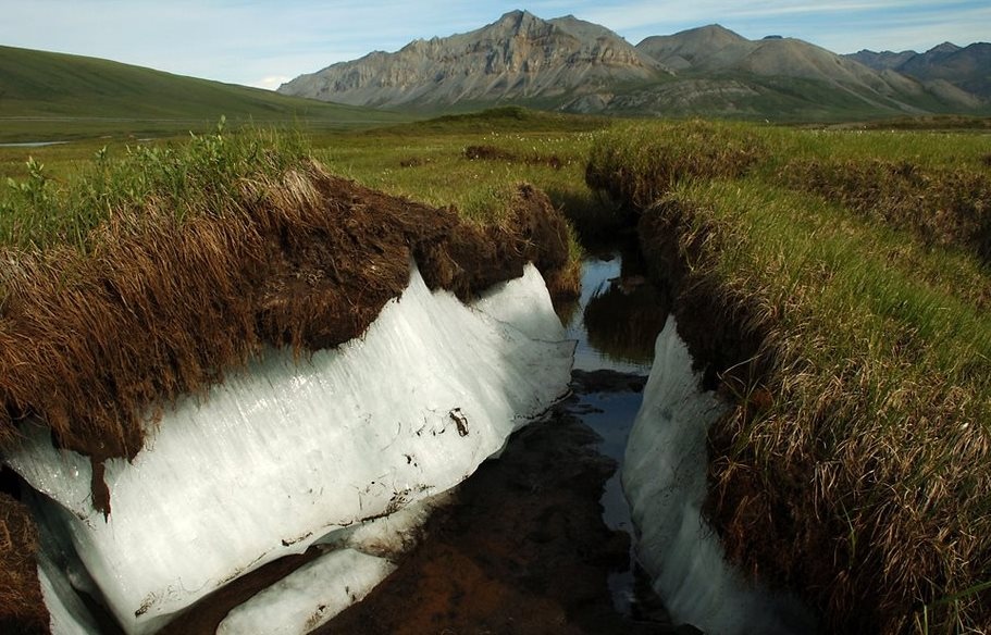 911x584, 189 Kb / лёд, трава, ручей