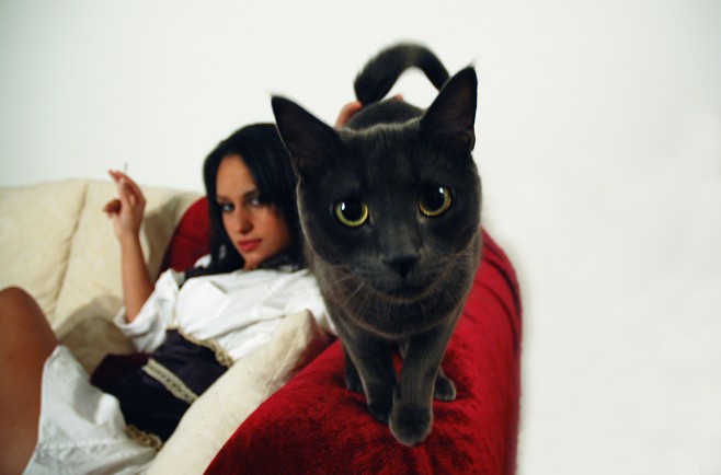 658x434, 39 Kb / девушка, диван, кошка, взгляд