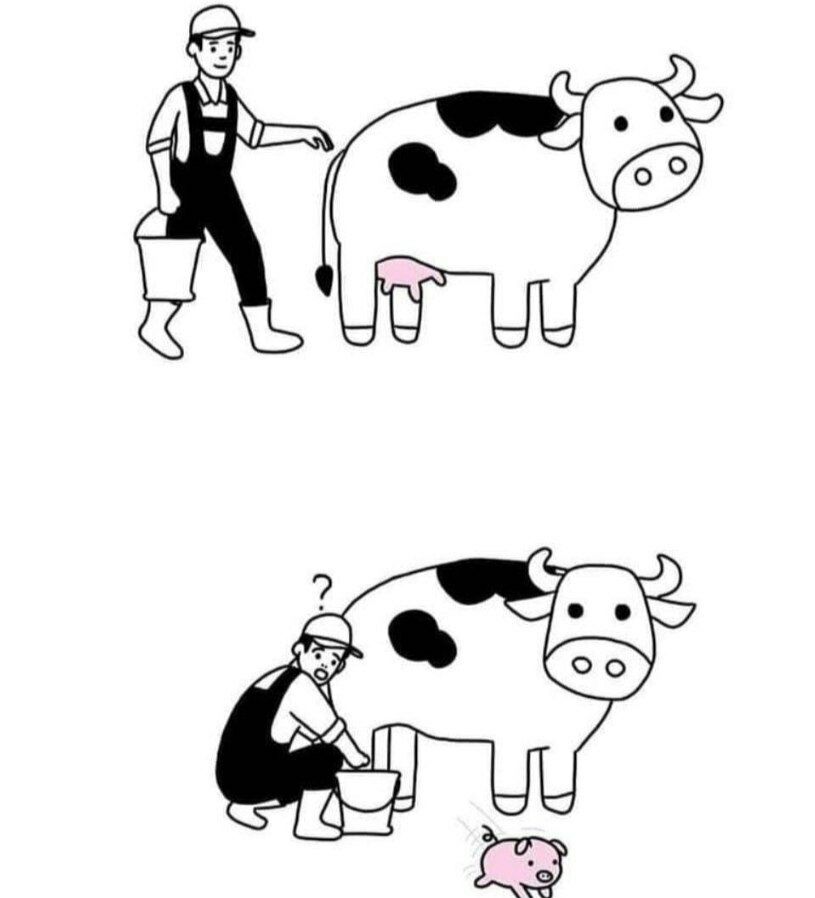 815x898, 60 Kb / ведро, поросенок, свинья, корова, бык