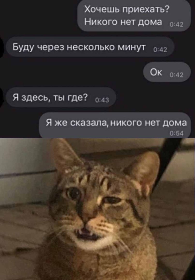 755x1080, 89 Kb / смс, чат, нет дома