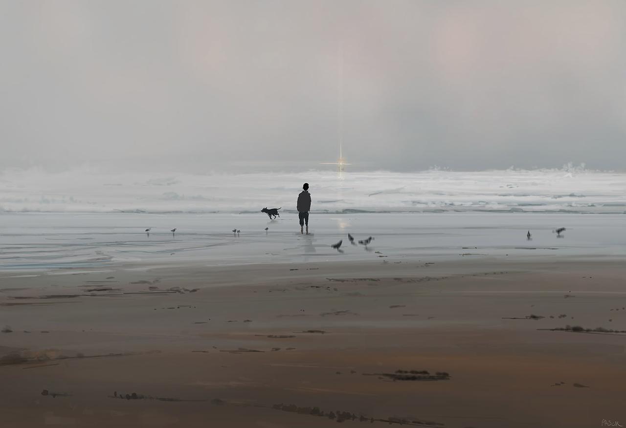 1280x876, 40 Kb / pascalcampion, пляж, вода, собака, песок, волны, океан