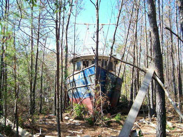 600x450, 121 Kb / корабль, лес