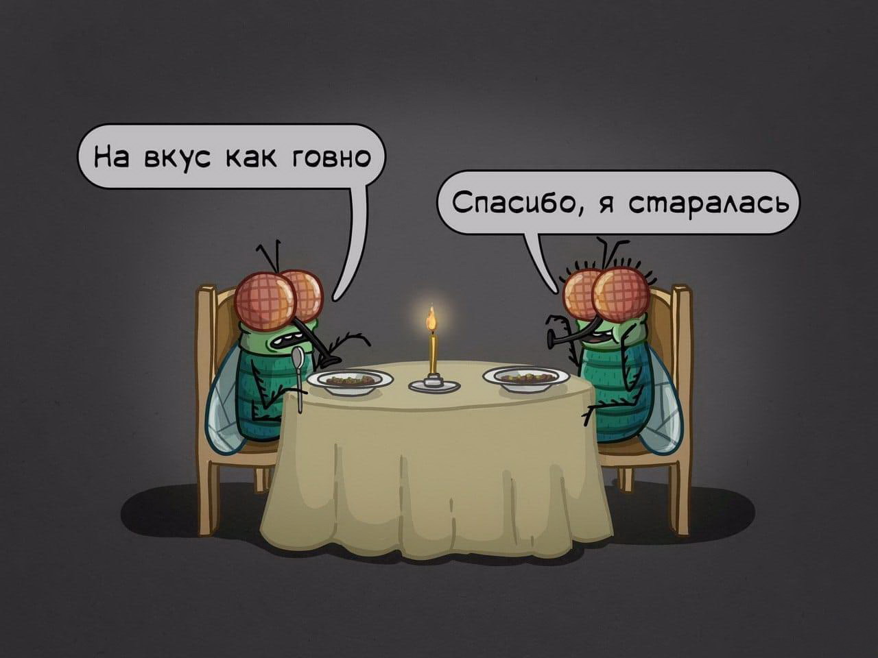 1280x960, 128 Kb / муха, обед, говно