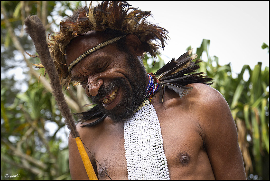 1109x742, 314 Kb / папуас, перья, котека, стесняется