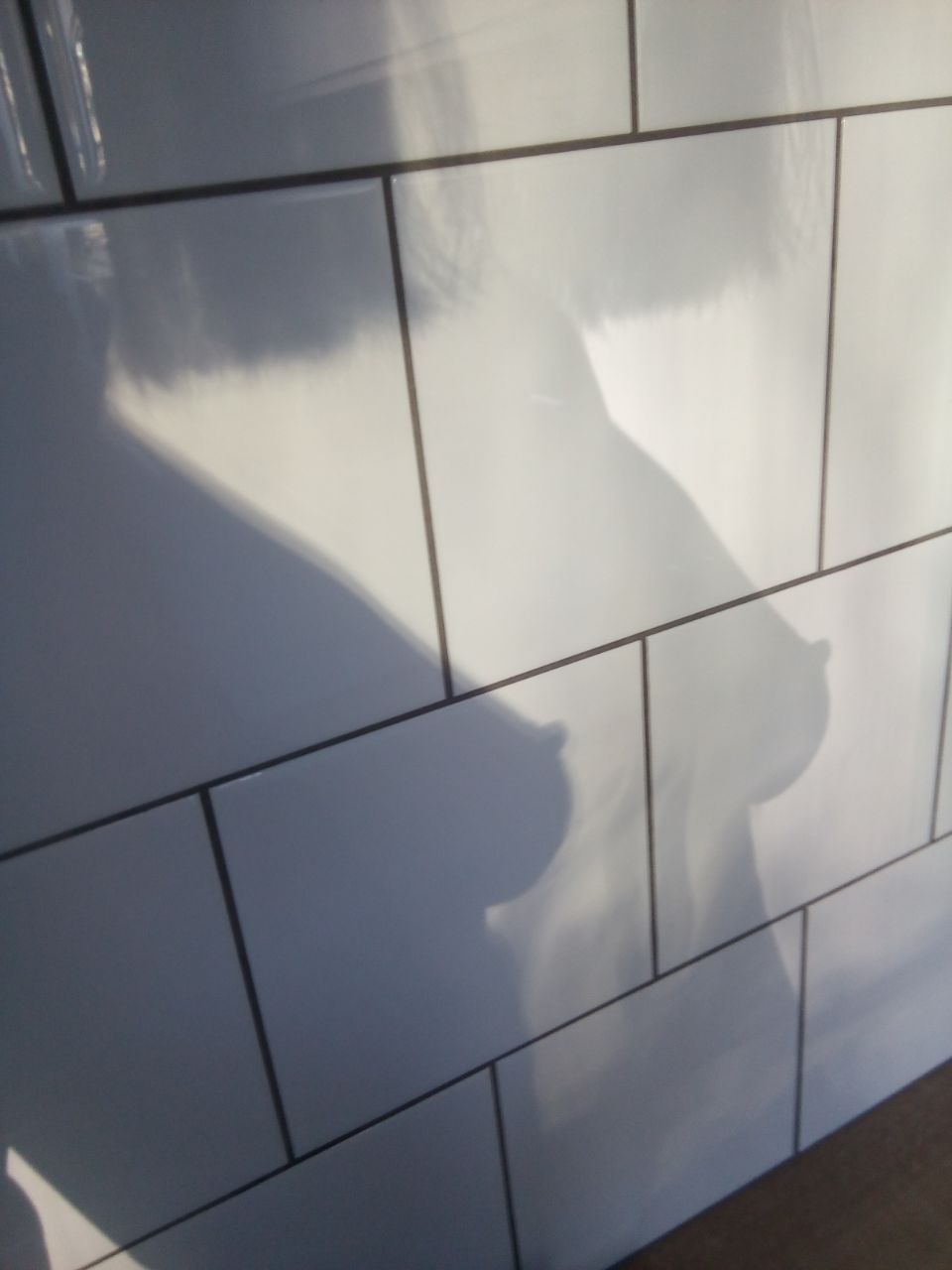 960x1280, 63 Kb / тень, грудь, плитка