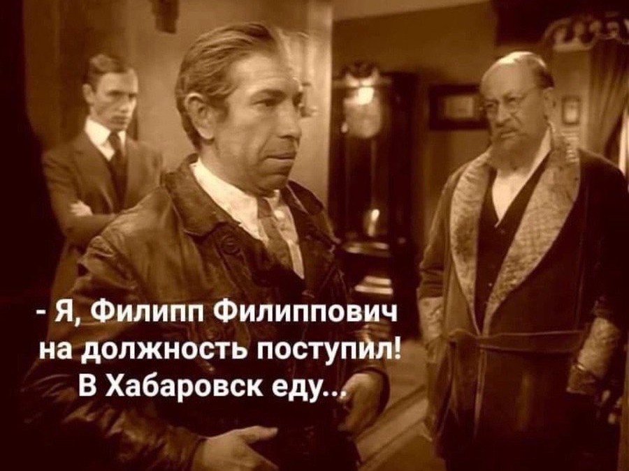 900x675, 109 Kb / Шариков, Булгаков, собачье сердце, Хабаровск