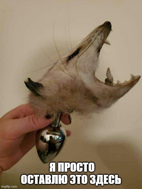 500x666, 55 Kb / рука, пробка, зубы, опоссум