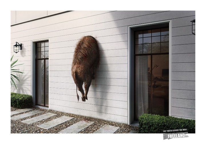 720x503, 110 Kb / кабан, стена, красиво