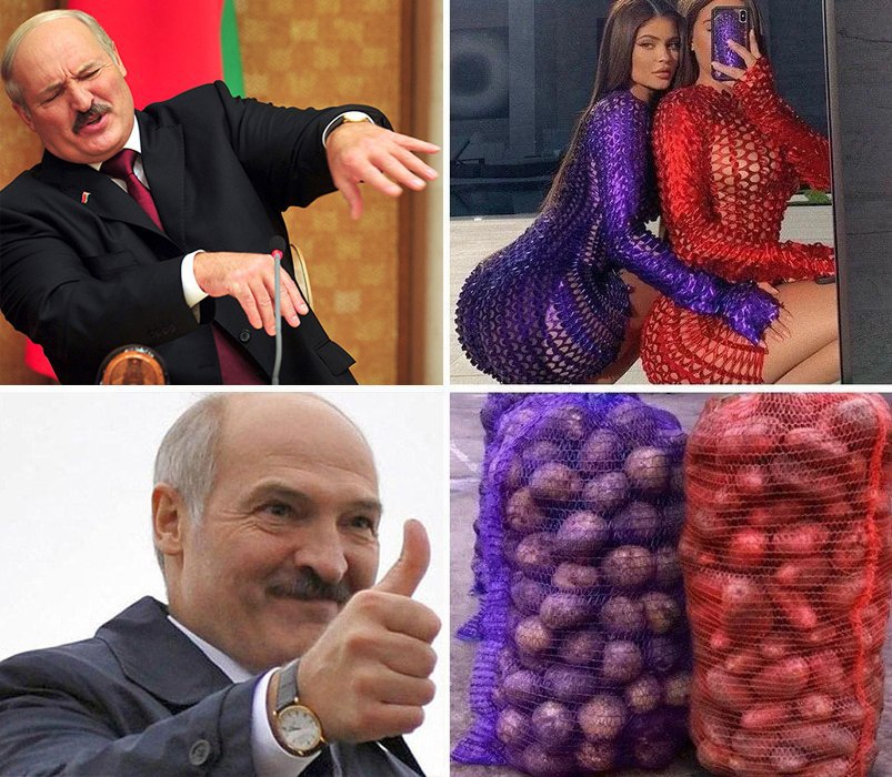 803x700, 163 Kb / лукашенко, сетка, картошка, мешки