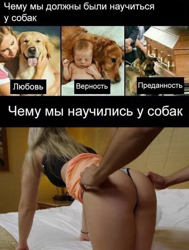 616x816, 95 Kb / любовь, верность, преданность, раком