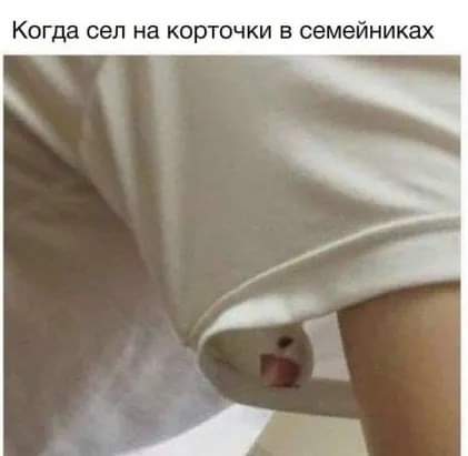 421x411, 12 Kb / Семейники, футболка, попугай, корточки