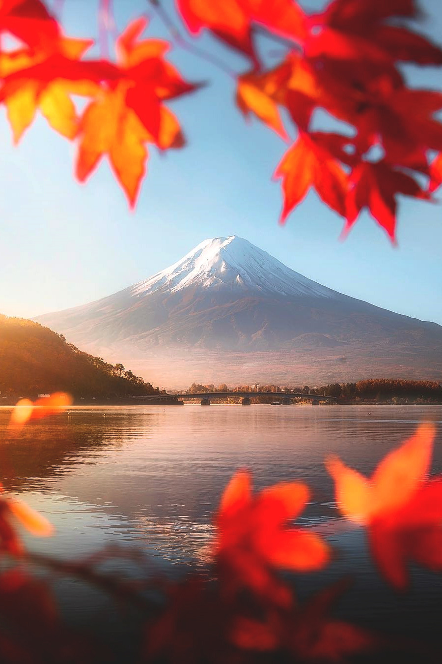 900x1350, 258 Kb / гора, снег, листья, озеро, мост, пейзаж, Фудзияма, вулкан, япония