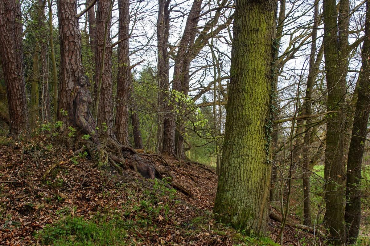 1200x800, 281 Kb / деревья, камуфляж, две