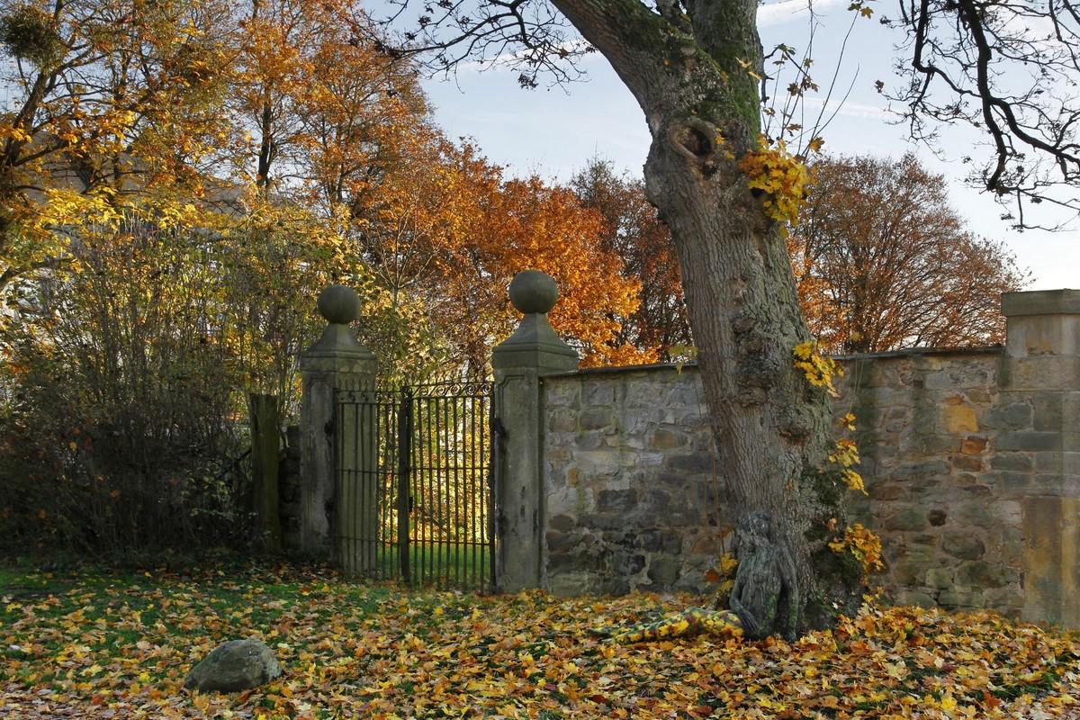 1200x800, 267 Kb / дерево, листва, забор, камуфляж