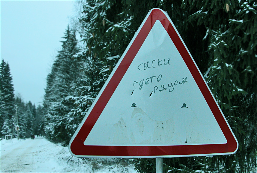 900x606, 223 Kb / знак