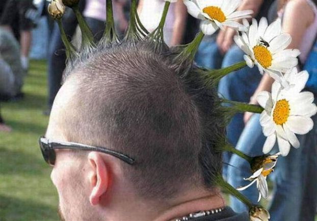 622x434, 48 Kb / фрик, панк, ромашки, ирокез