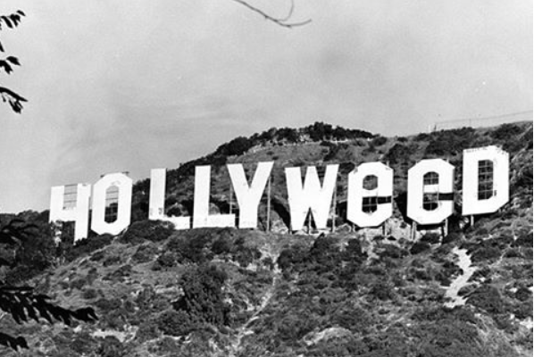 598x400, 286 Kb / голливуд, гора, hollyweed, ч/б