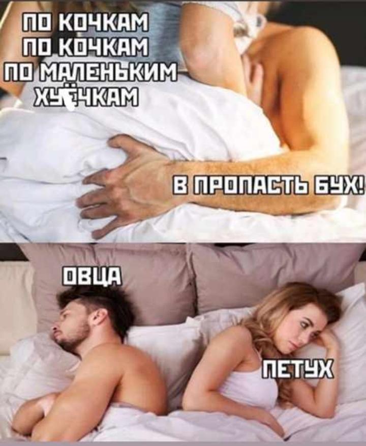 720x877, 68 Kb / Секс, постель, овца, кочки, петух