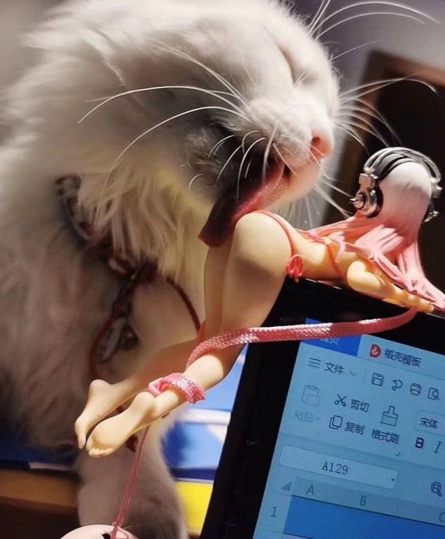 640x775, 95 Kb / кот,кукла,наушники,лизь