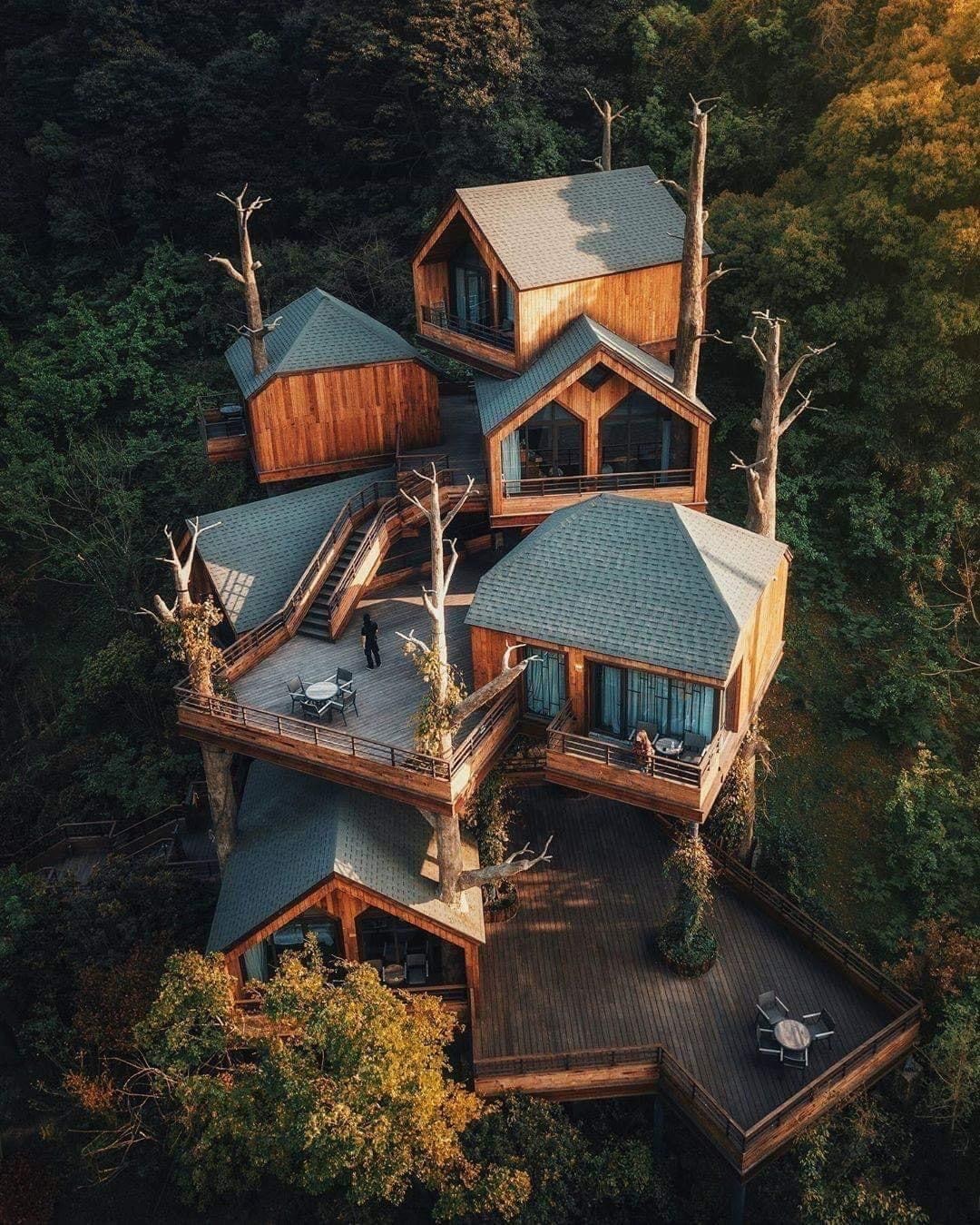 1080x1349, 416 Kb / дом, архитектура, дерево, лес