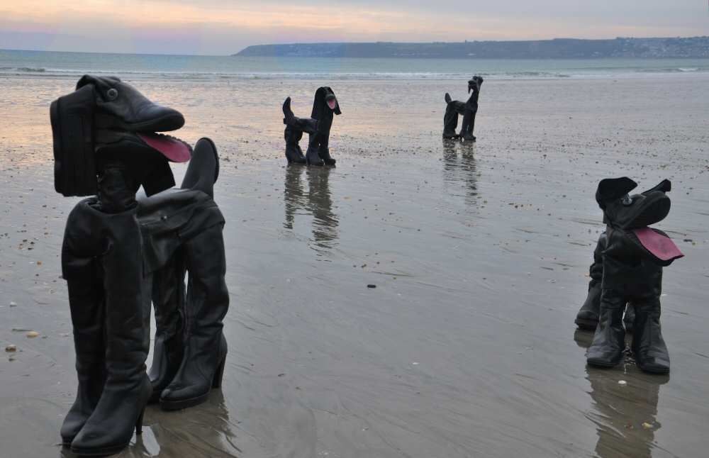 1000x646, 50 Kb / собаки, сапоги, вода