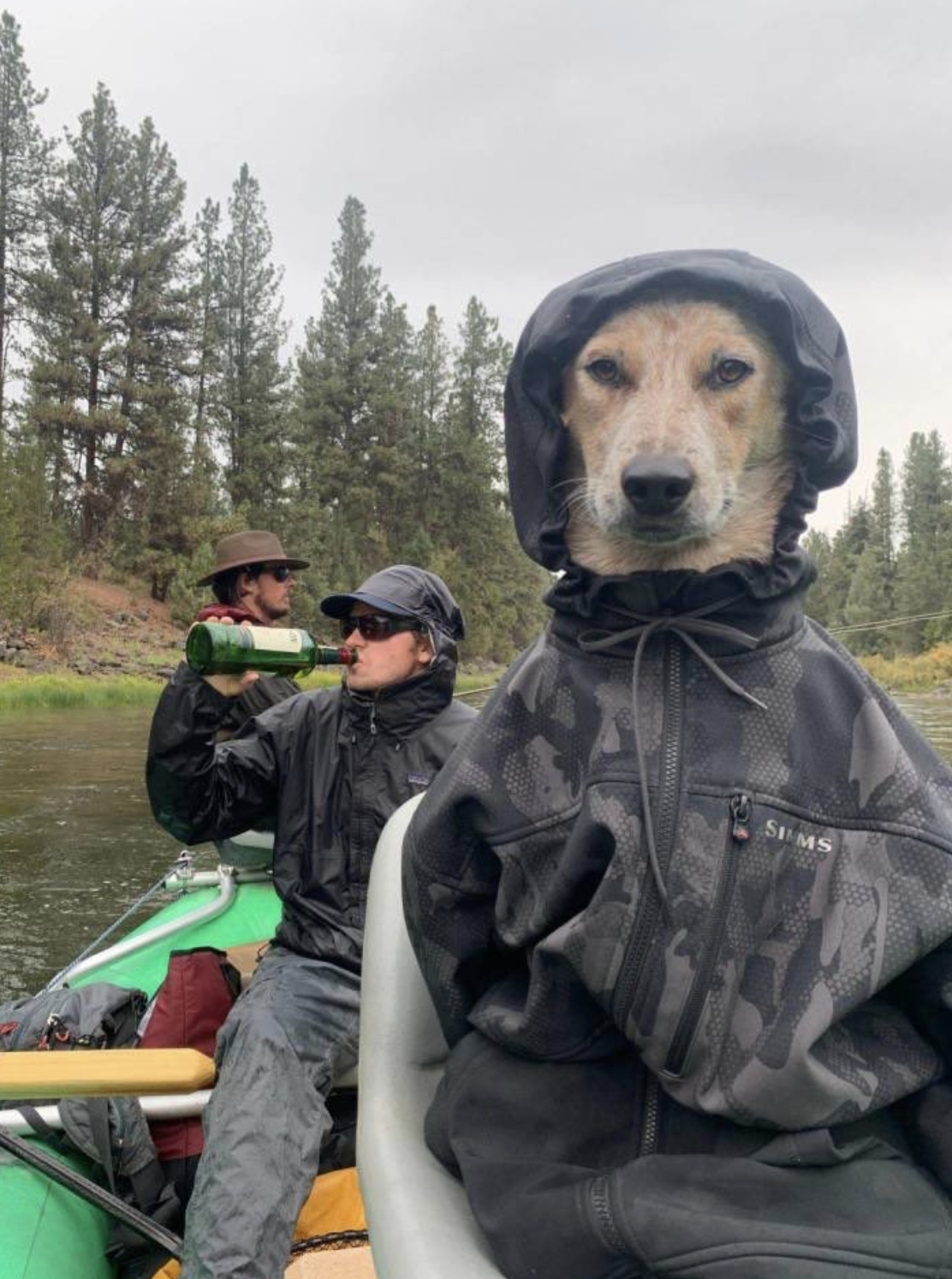 1112x1494, 458 Kb / Трое, лодка, собака, куртка, кепка, шляпа, бутылка, виски, капюшон, очки