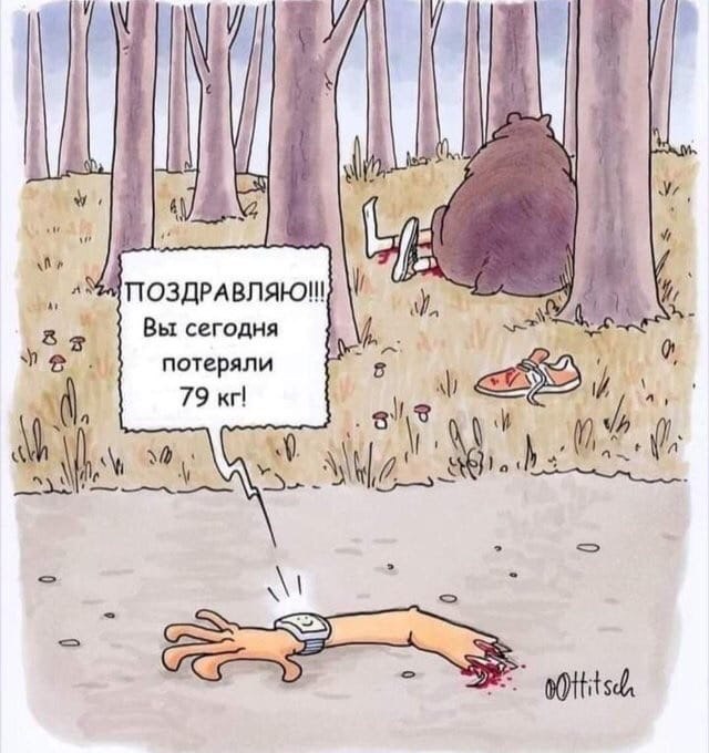 640x680, 76 Kb / Медведь, рука, фитнес-браслет