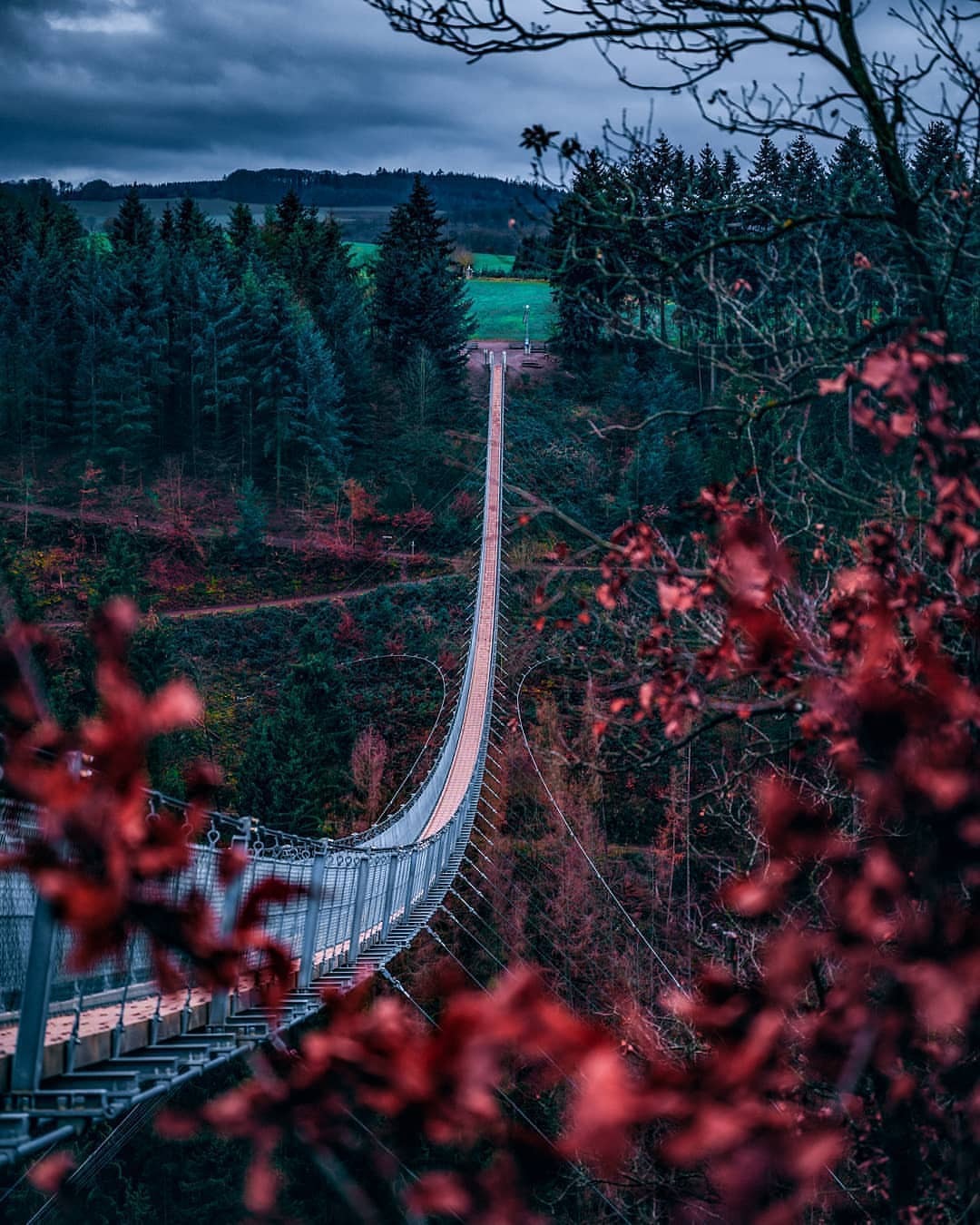 1080x1350, 267 Kb / подвесной мост, лес, висячий мост