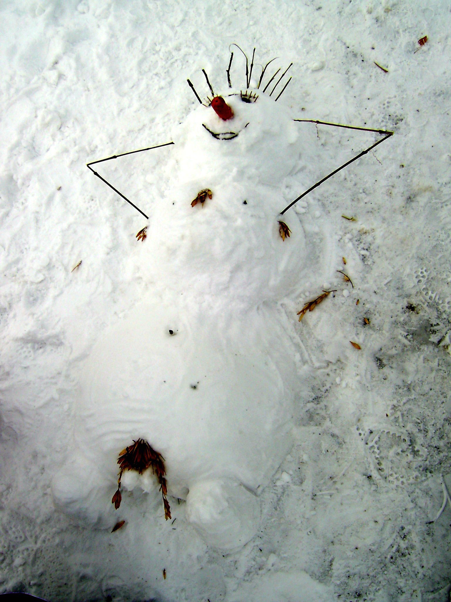 1536x2048, 374 Kb / снеговик, лежит