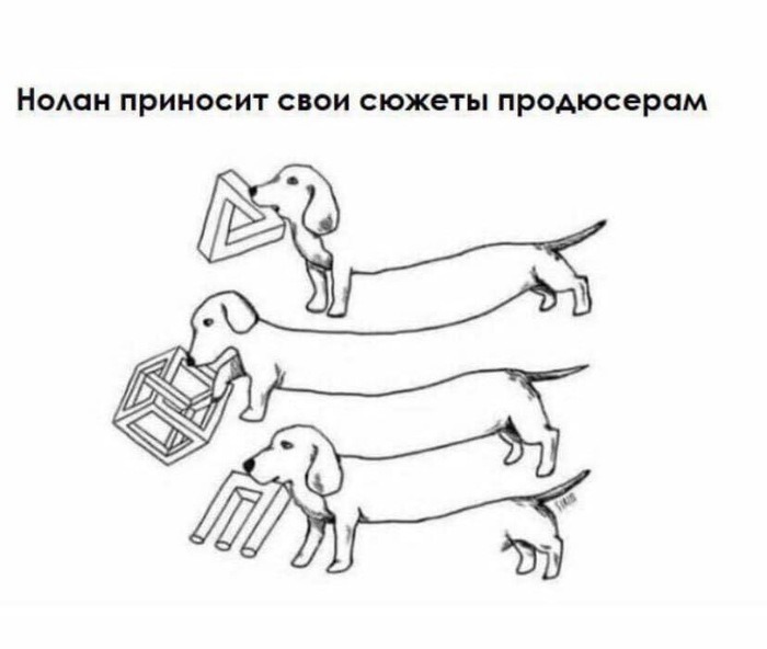 700x592, 45 Kb / собака, такса, иллюзия, сюжет, кристофер нолан