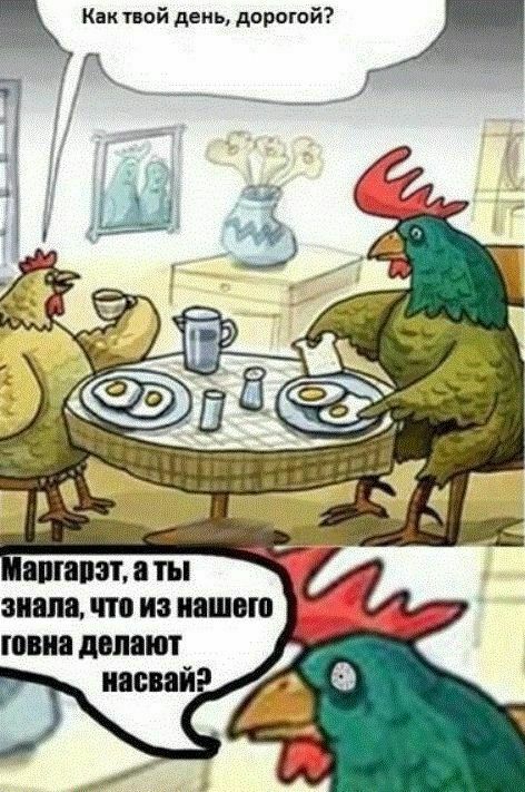 472x711, 101 Kb / петух, курица, насвай