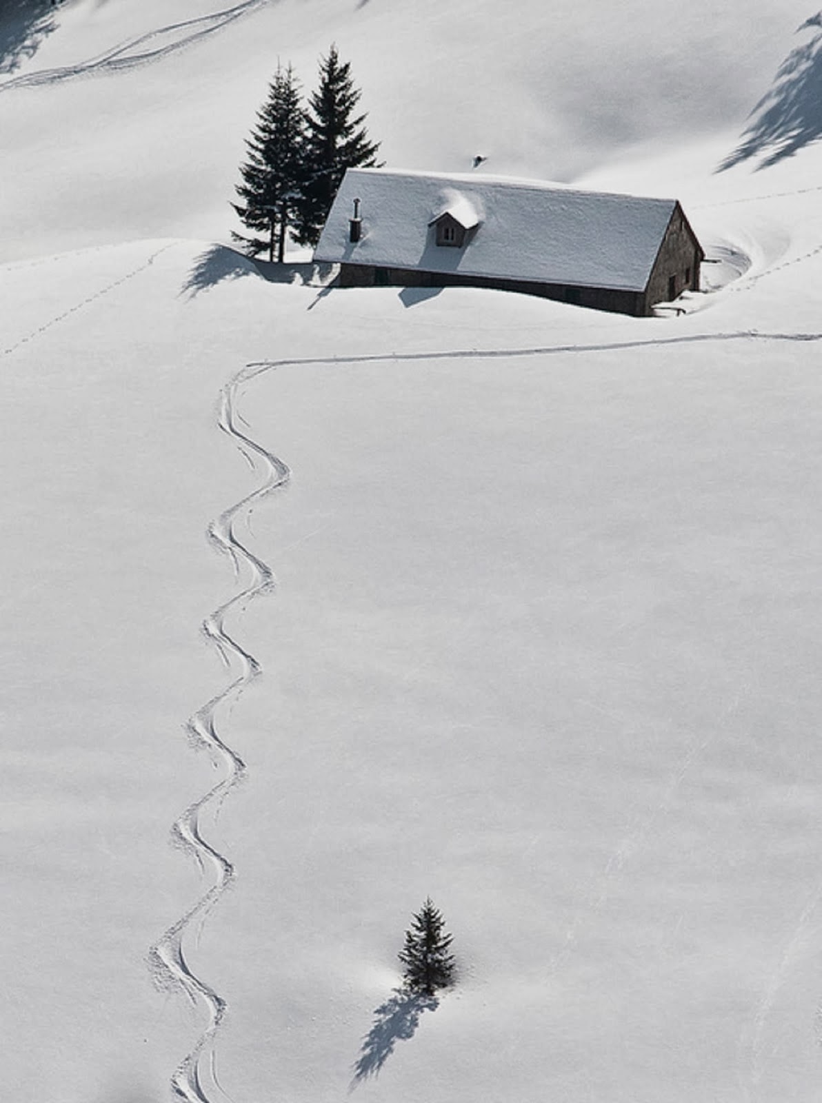 1192x1600, 143 Kb / горы, дом, снег, следы, дерево, ель